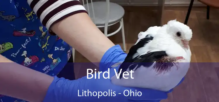 Bird Vet Lithopolis - Ohio