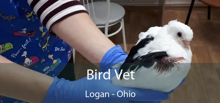 Bird Vet Logan - Ohio