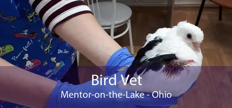 Bird Vet Mentor-on-the-Lake - Ohio