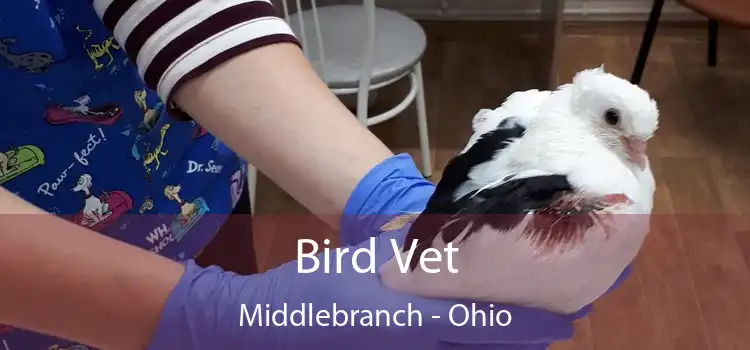Bird Vet Middlebranch - Ohio