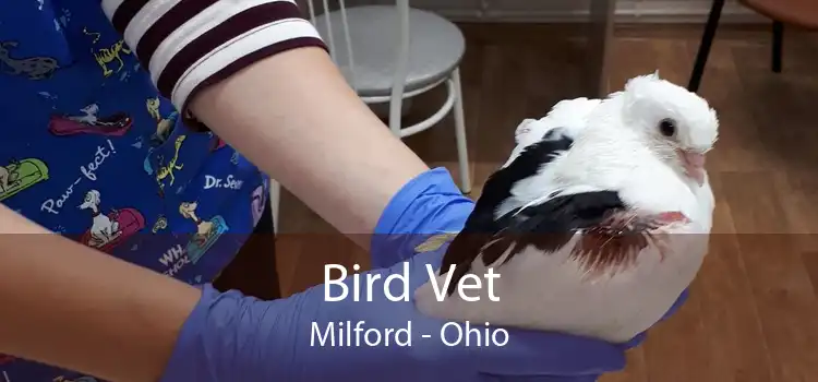 Bird Vet Milford - Ohio