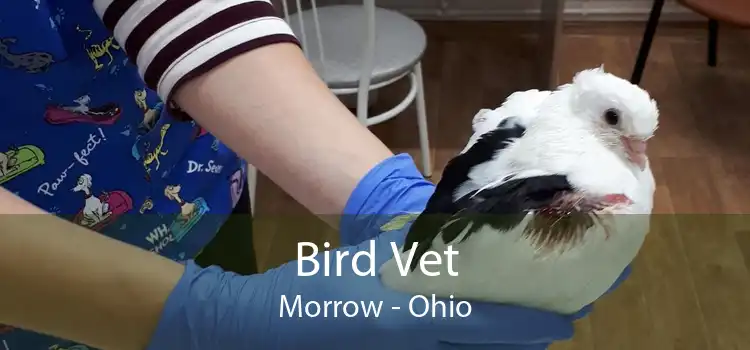 Bird Vet Morrow - Ohio