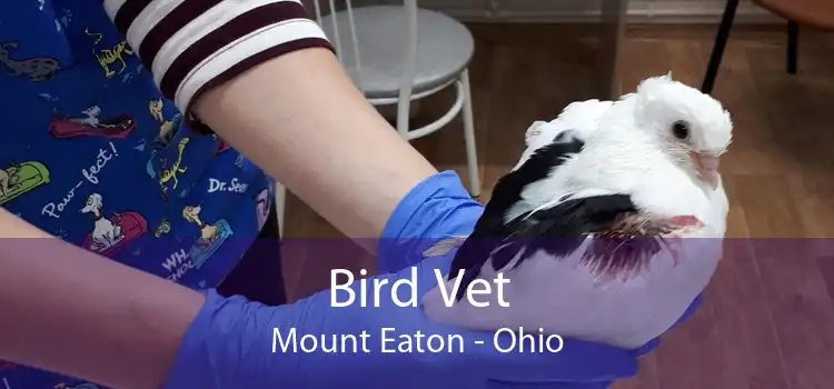 Bird Vet Mount Eaton - Ohio