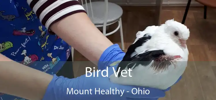 Bird Vet Mount Healthy - Ohio