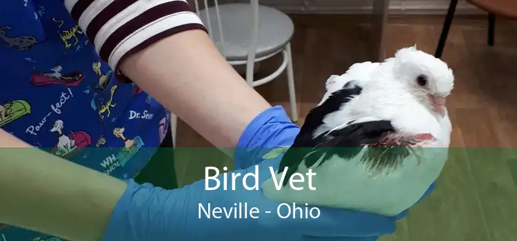 Bird Vet Neville - Ohio