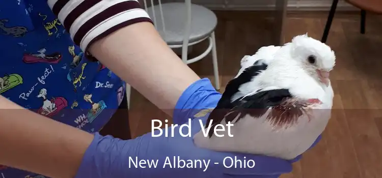 Bird Vet New Albany - Ohio