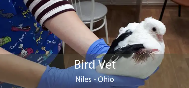 Bird Vet Niles - Ohio