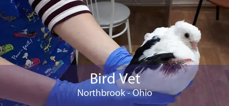 Bird Vet Northbrook - Ohio