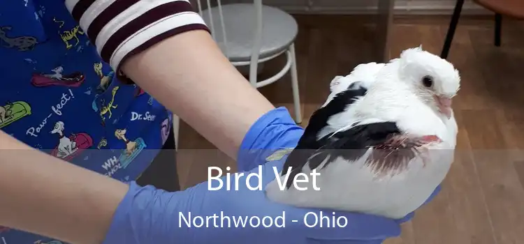 Bird Vet Northwood - Ohio