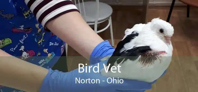 Bird Vet Norton - Ohio