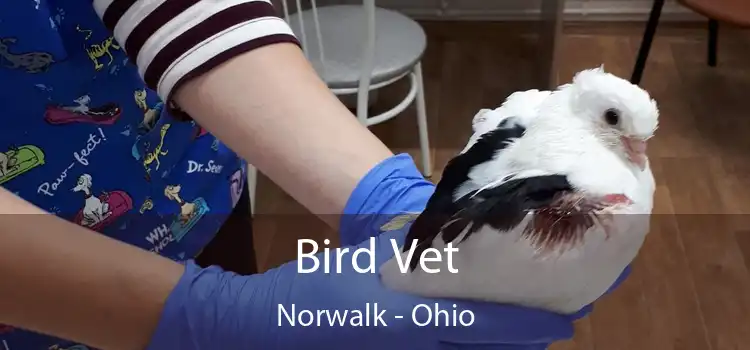 Bird Vet Norwalk - Ohio