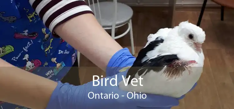 Bird Vet Ontario - Ohio