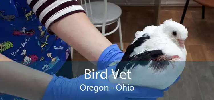 Bird Vet Oregon - Ohio