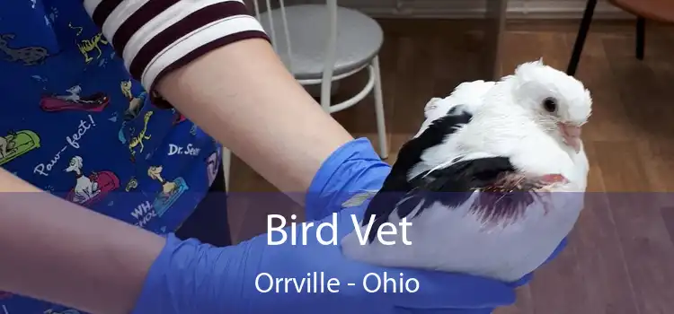 Bird Vet Orrville - Ohio