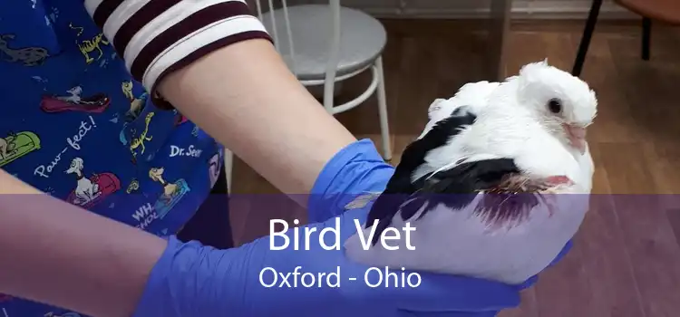 Bird Vet Oxford - Ohio