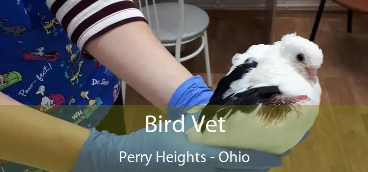 Bird Vet Perry Heights - Ohio