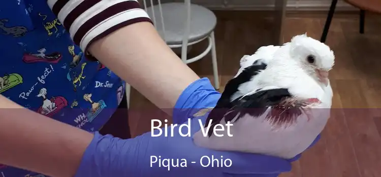 Bird Vet Piqua - Ohio