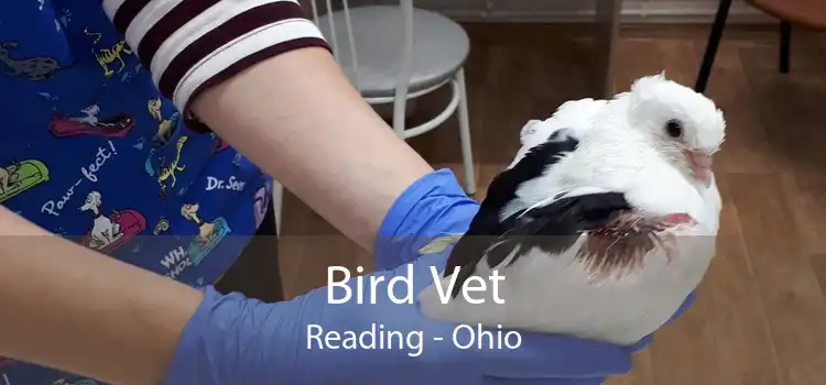 Bird Vet Reading - Ohio