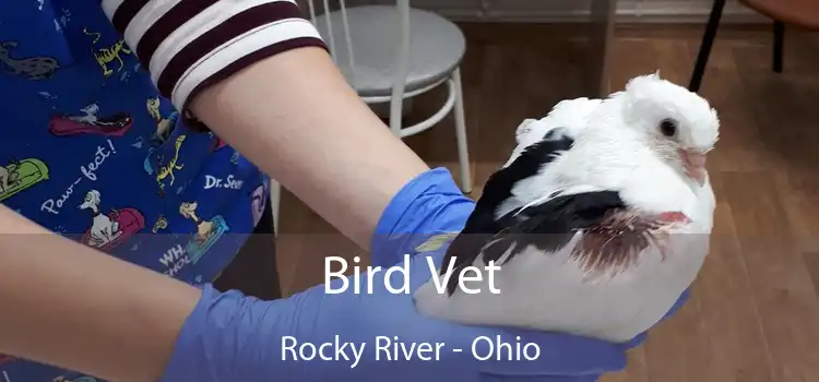 Bird Vet Rocky River - Ohio