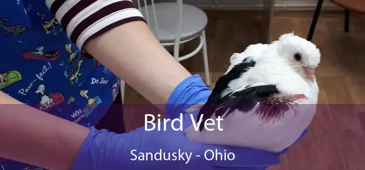 Bird Vet Sandusky - Ohio