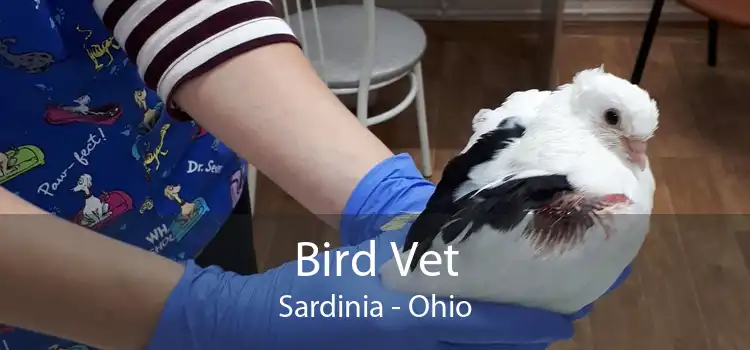 Bird Vet Sardinia - Ohio