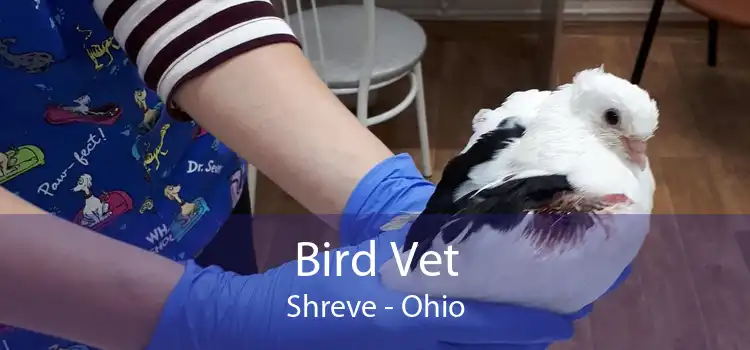 Bird Vet Shreve - Ohio