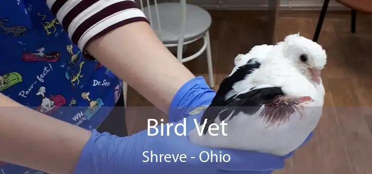 Bird Vet Shreve - Ohio