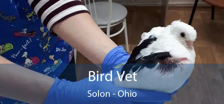 Bird Vet Solon - Ohio