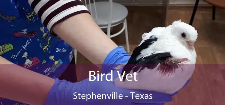 Bird Vet Stephenville - Texas