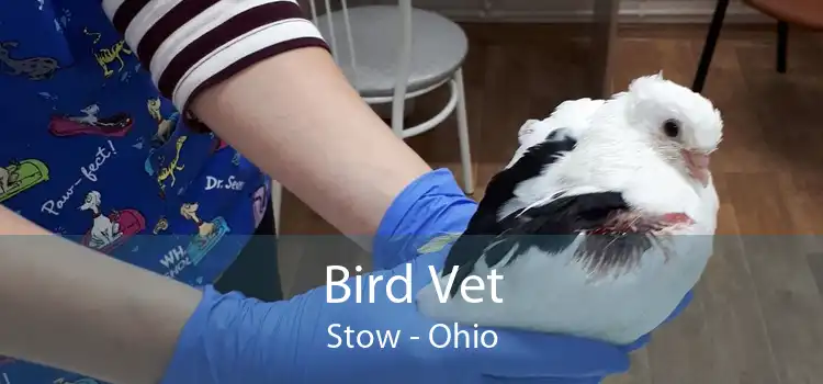 Bird Vet Stow - Ohio