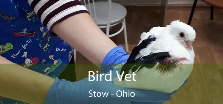 Bird Vet Stow - Ohio