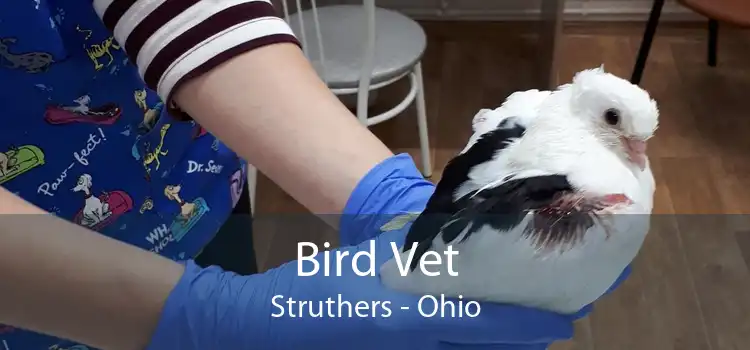 Bird Vet Struthers - Ohio