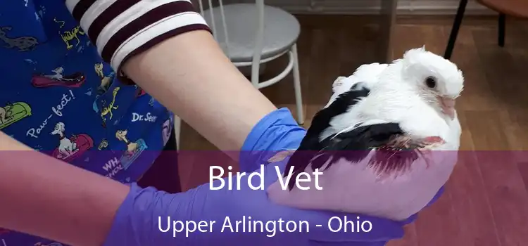 Bird Vet Upper Arlington - Ohio