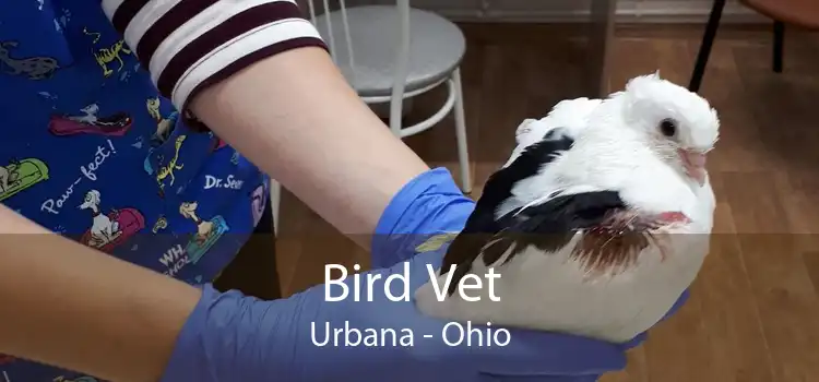 Bird Vet Urbana - Ohio