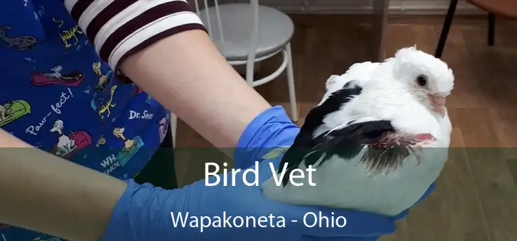 Bird Vet Wapakoneta - Ohio