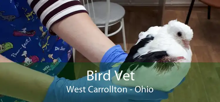Bird Vet West Carrollton - Ohio