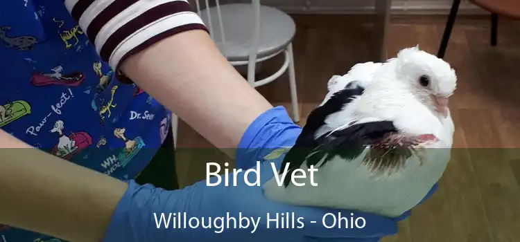 Bird Vet Willoughby Hills - Ohio