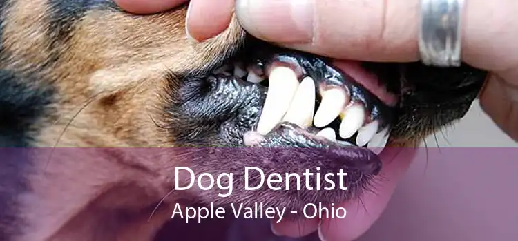 Dog Dentist Apple Valley - Ohio