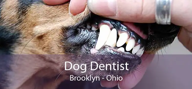 Dog Dentist Brooklyn - Ohio