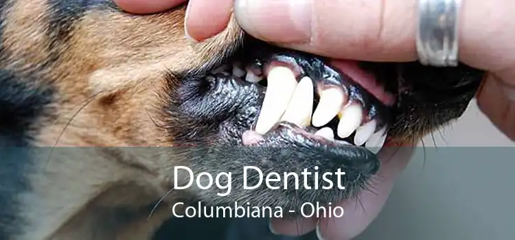 Dog Dentist Columbiana - Ohio