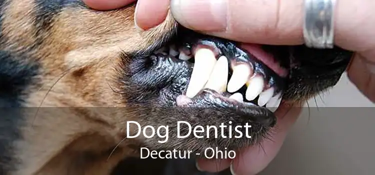 Dog Dentist Decatur - Ohio
