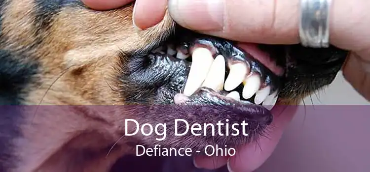 Dog Dentist Defiance - Ohio