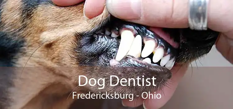 Dog Dentist Fredericksburg - Ohio