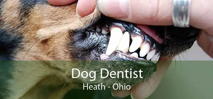 Dog Dentist Heath - Ohio