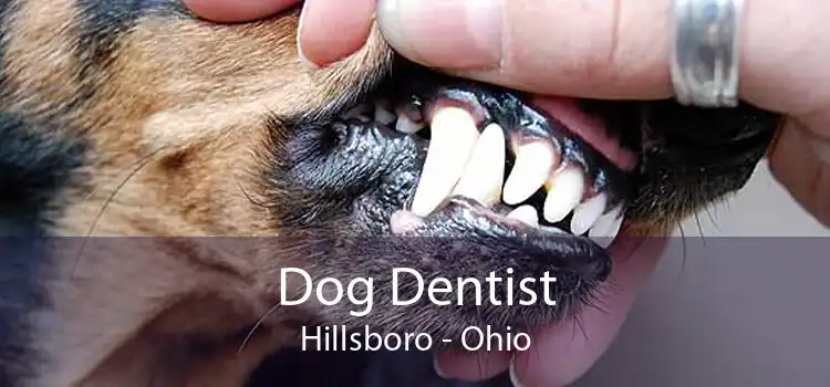 Dog Dentist Hillsboro - Ohio