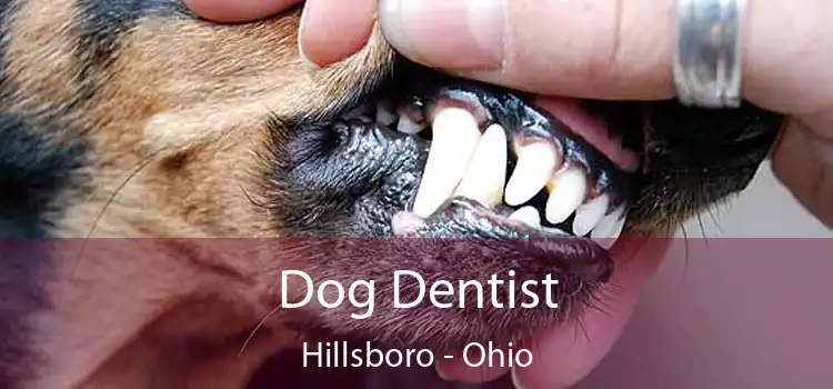 Dog Dentist Hillsboro - Ohio