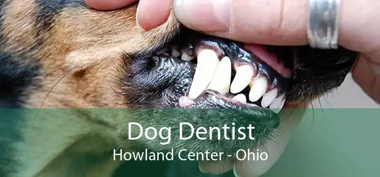 Dog Dentist Howland Center - Ohio
