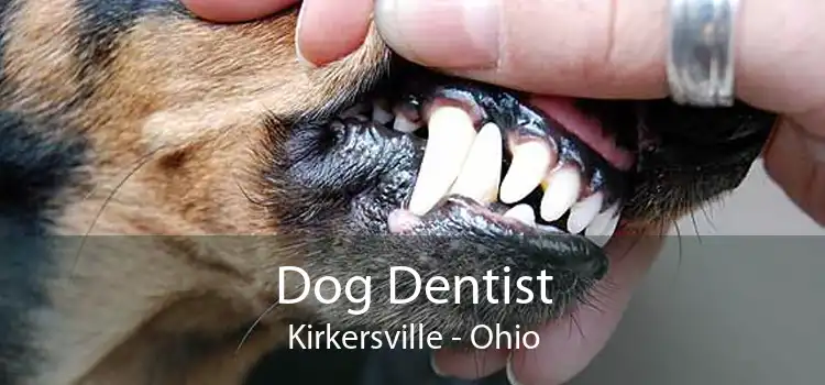 Dog Dentist Kirkersville - Ohio