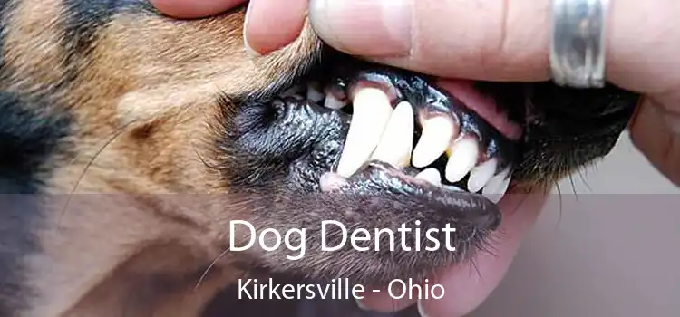 Dog Dentist Kirkersville - Ohio