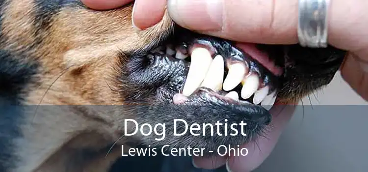Dog Dentist Lewis Center - Ohio